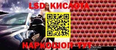 крисы Тверь