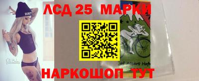 крисы Тверь