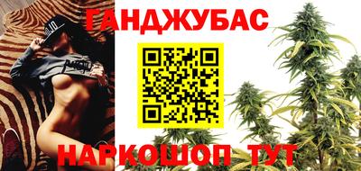 крисы Тверь