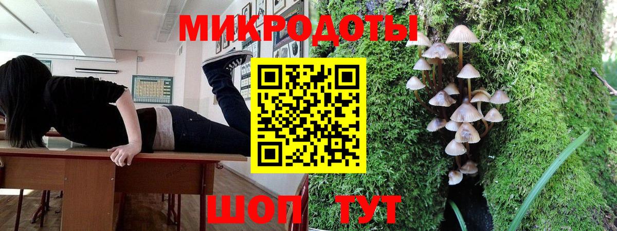 Вязьма  Галлюциногенные грибы прущие грибы  Вход с VPN 