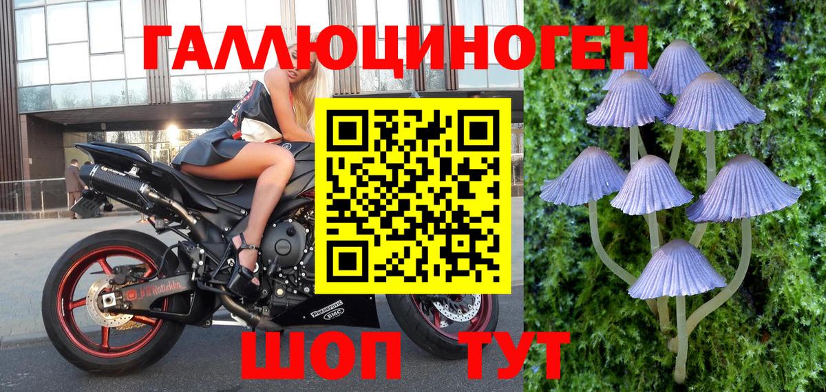 Псилоцибиновые грибы GOLDEN TEACHER Вязьма